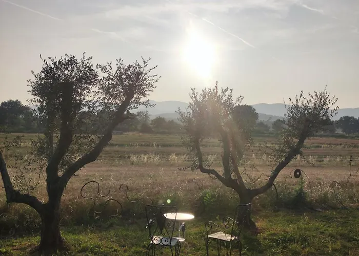 Case di Vetulonia