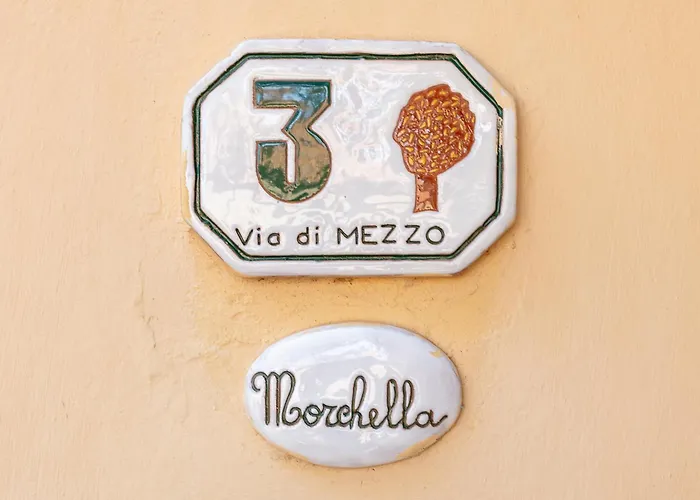 San Simone Holiday - Morchella